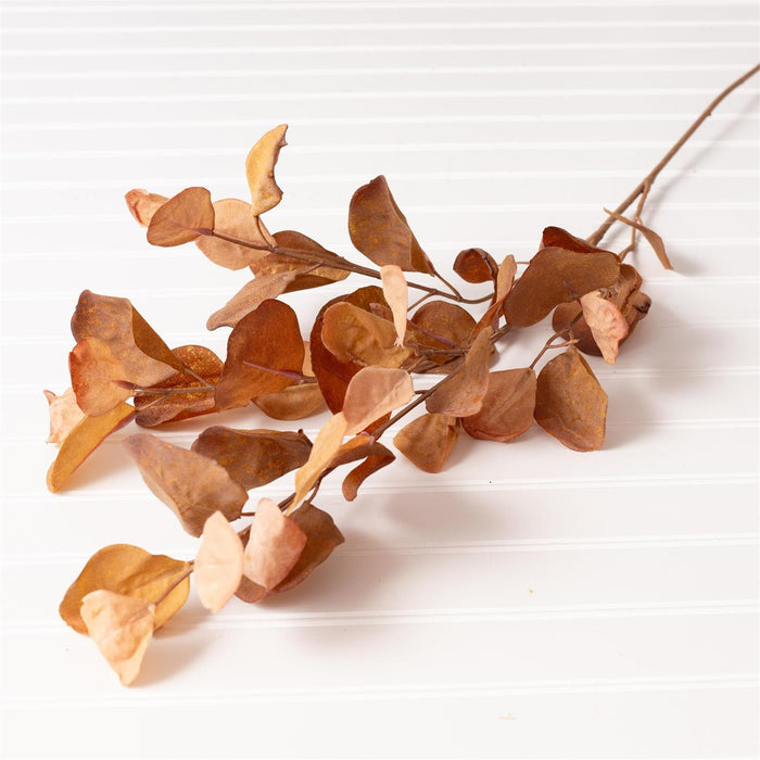 Brown Eucalyptus Spray