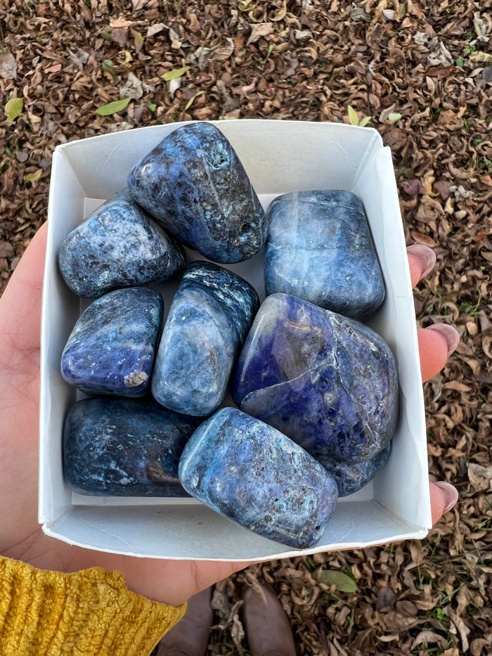 Sodalite Tumble Stone (1 piece intuitively chosen) - Simply Affinity