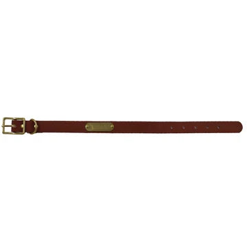 Local Boy Outfitters Biothane Dog Collar