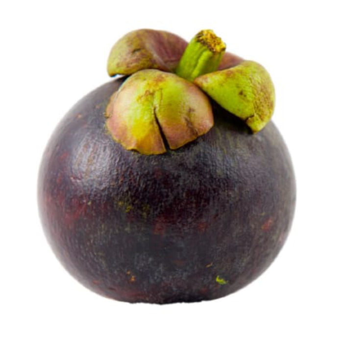 Mankostin fruit plant