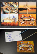 Mobile Baykeeper Post Card Bundle