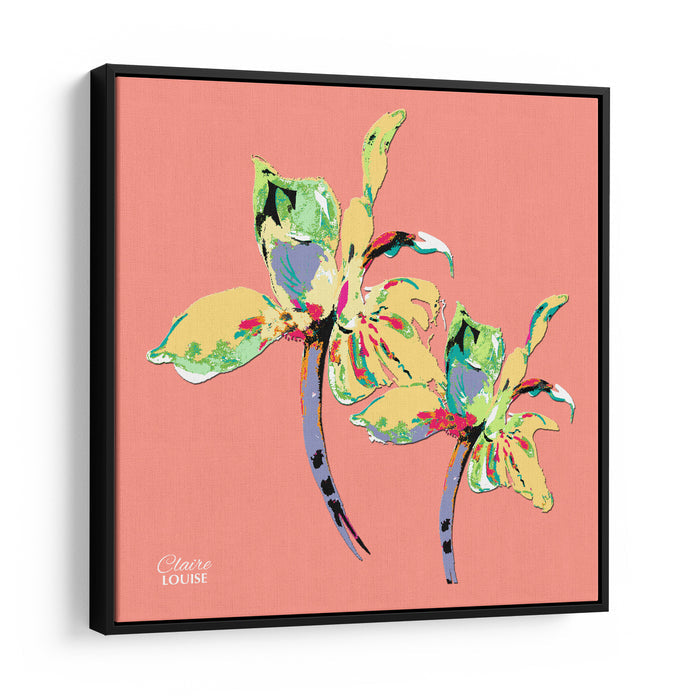 Peach Fuzz Iris Framed Canvas Print