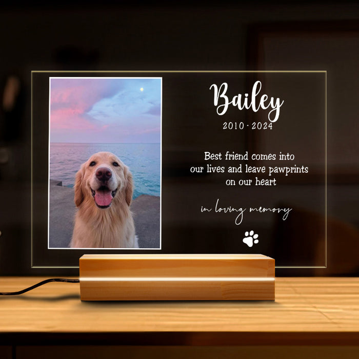 Pet Memorial Gift | Best Friend Comes Into Our Lives Plaque