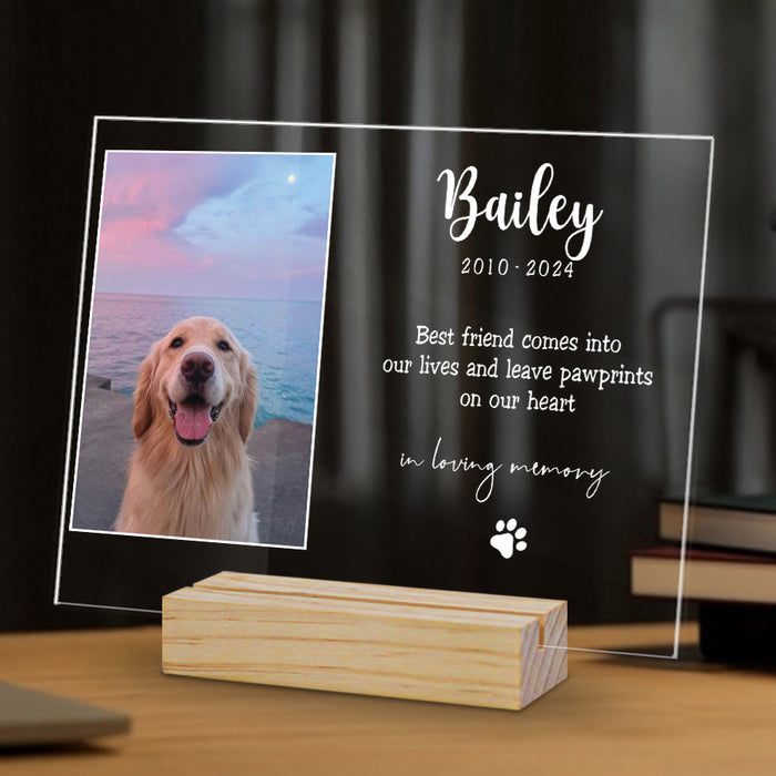Pet Memorial Gift | Best Friend Comes Into Our Lives Plaque