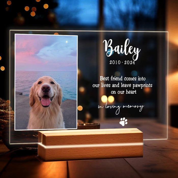 Pet Memorial Gift | Best Friend Comes Into Our Lives Plaque