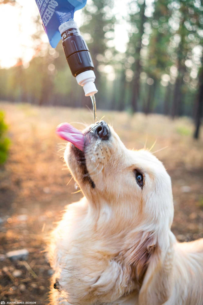 Sawyer Micro Squeeze Water Filter