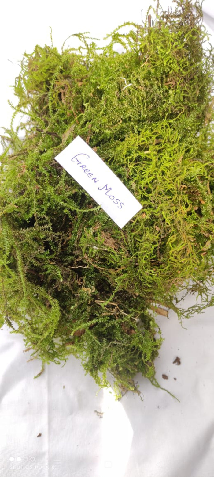Spagnum Moss 1 kilograms