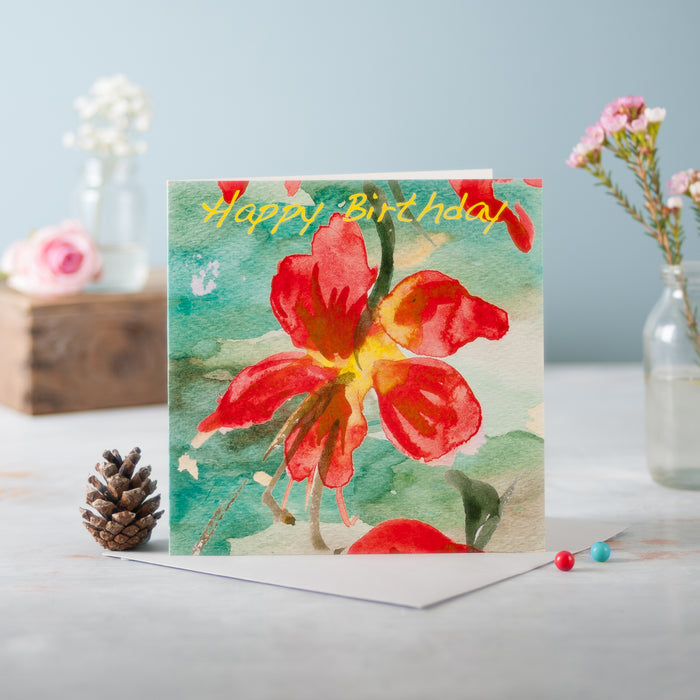 Splash - Pack of 6