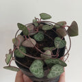 String of hearts