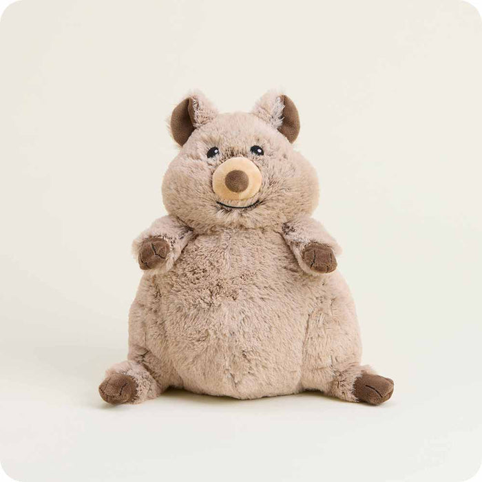 Quokka